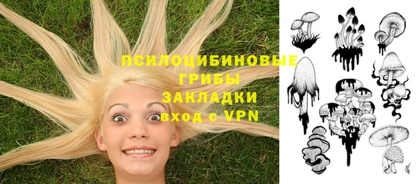 MESCALINE Богородицк